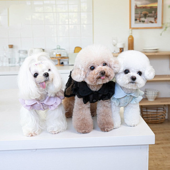 Japanische und koreanische Mode Tierbekleidung