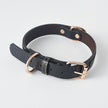 Home Fashion Simple Leather Pet Dog Collar