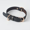 Home Fashion Simple Leather Pet Dog Collar