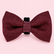 Dog Bow Tie - Berry Tweed