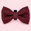 Dog Bow Tie - Berry Tweed