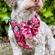 Dog Sailor Bow -  Burgundy Bloom