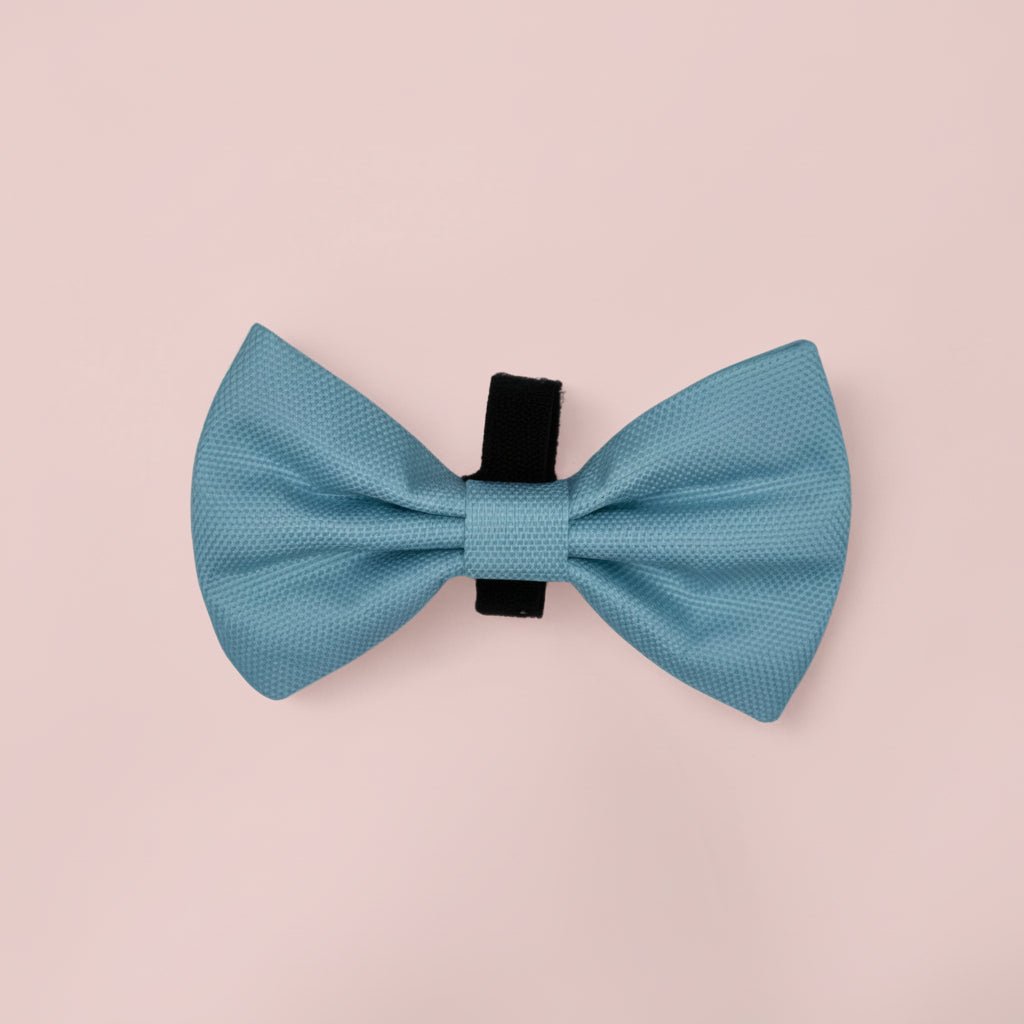 Hundehalsbandfliege – Pastellblau