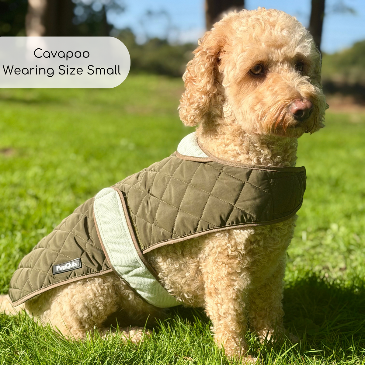Quilted Dog Coat - Khaki Tweed