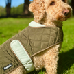 Quilted Dog Coat - Khaki Tweed