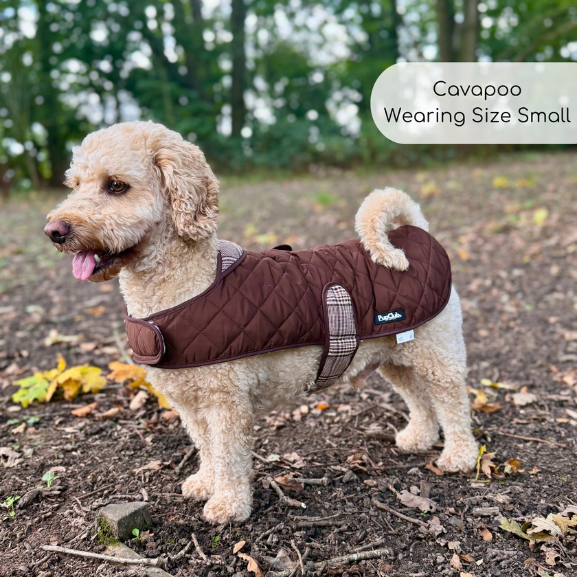 Quilted Dog Coat - Foxbury Plaid