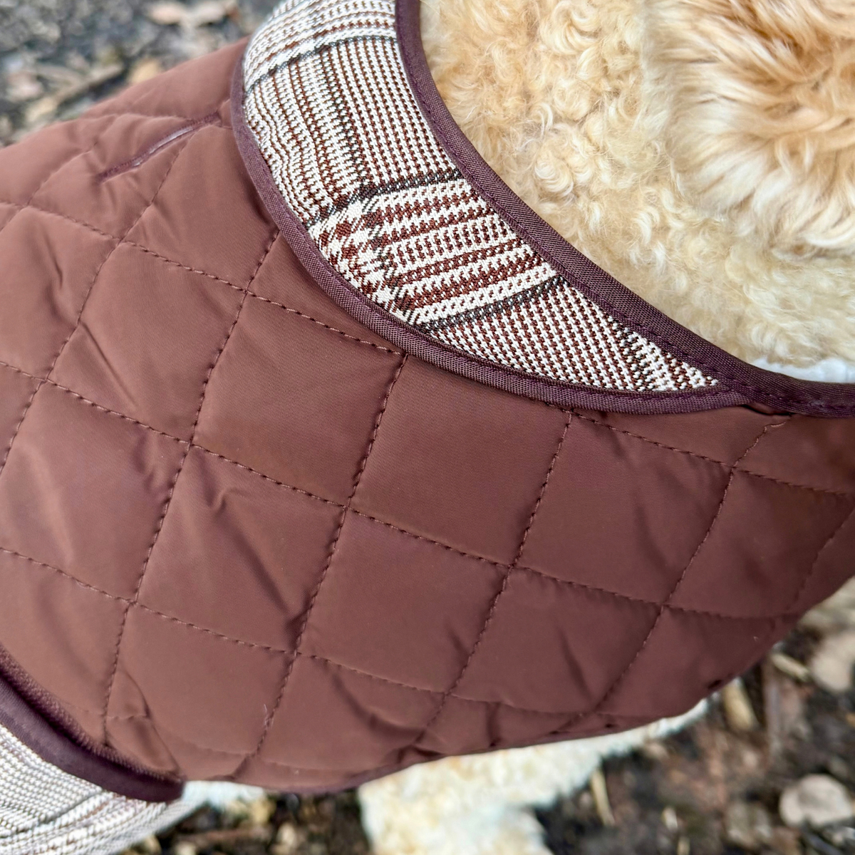 Quilted Dog Coat - Foxbury Plaid