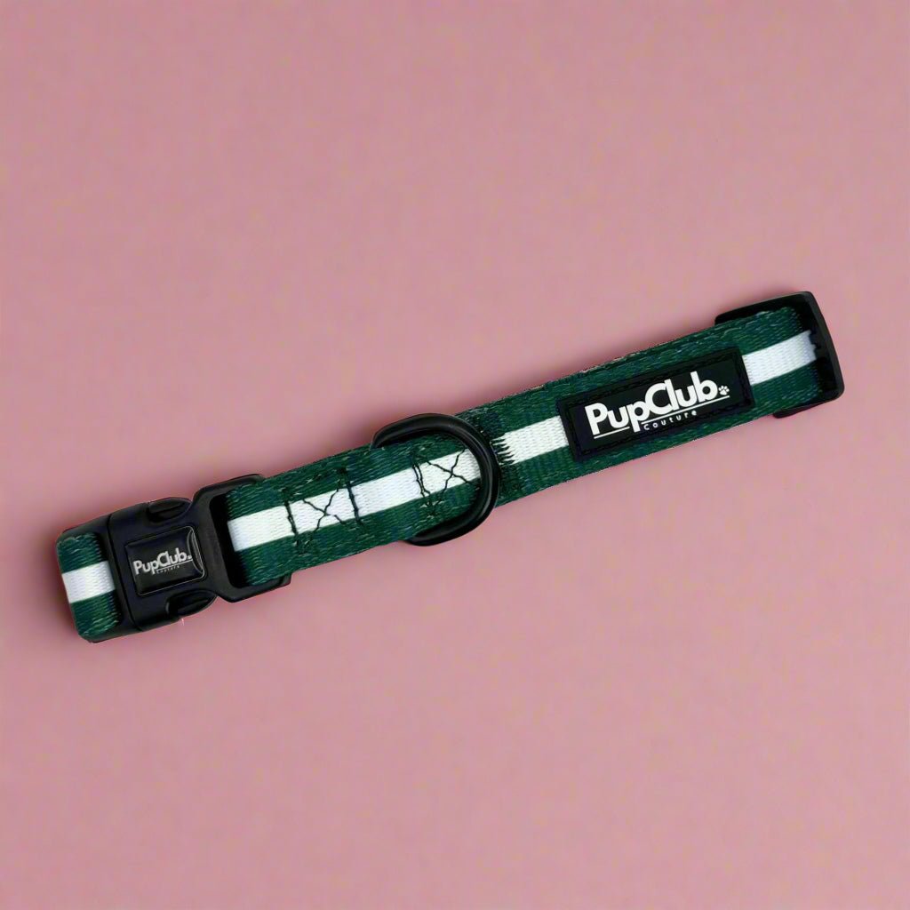 Halsband – Tannengrün