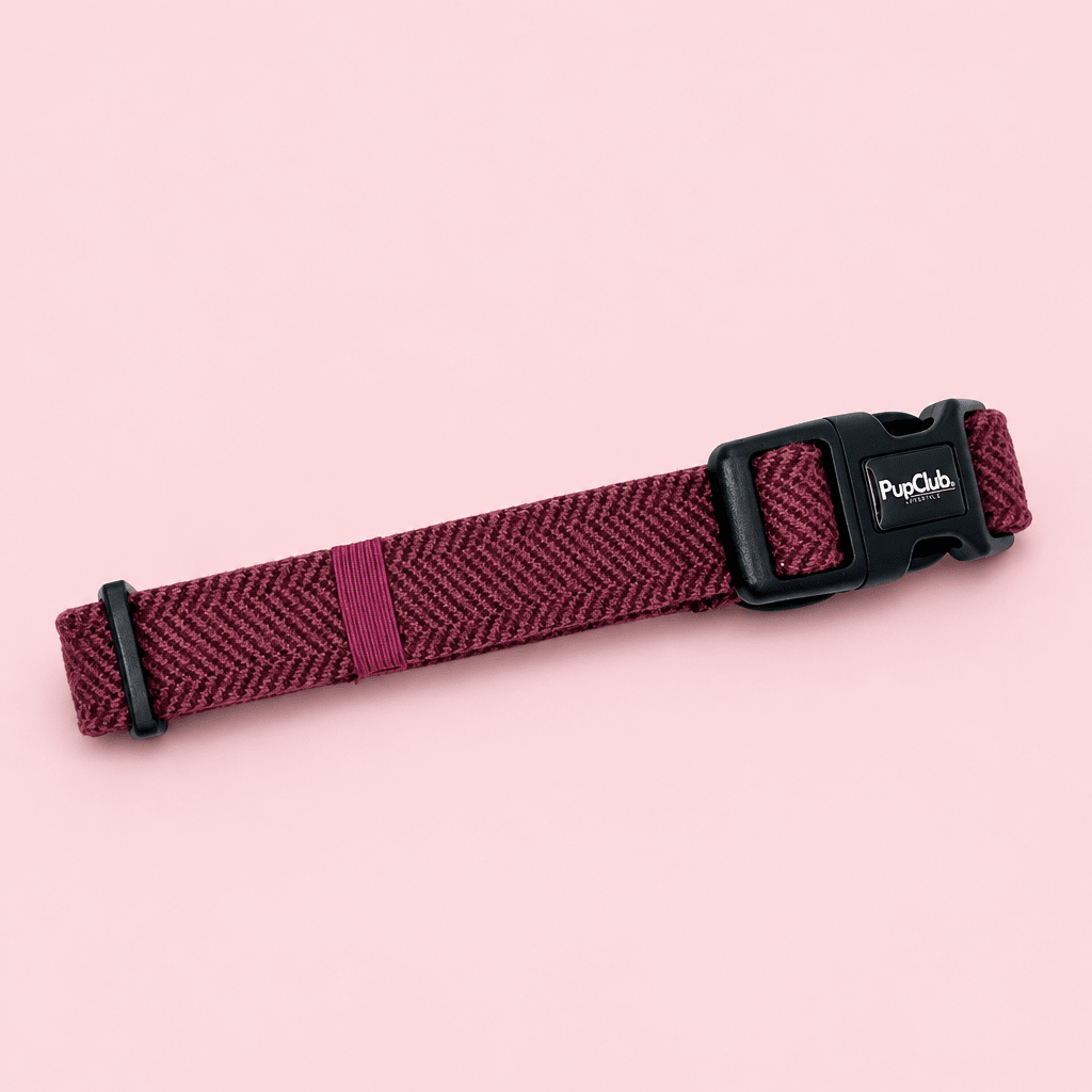 Collar - Berry Tweed