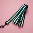 Pista - Verde bosque
