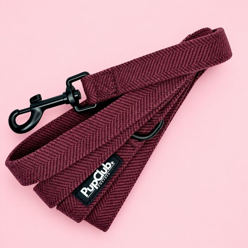 Lead - Berry Tweed