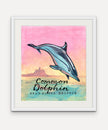 Common Dolphin - Cornish Sea Life series - Giclée Print