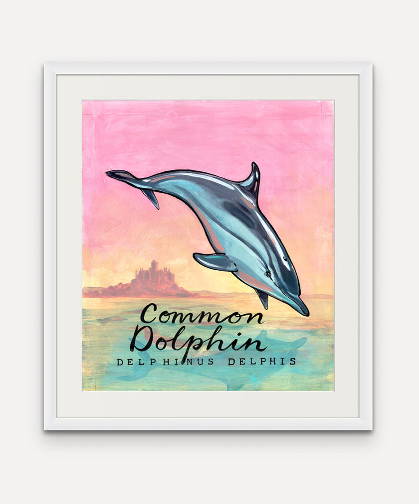 Common Dolphin - Cornish Sea Life series - Giclée Print