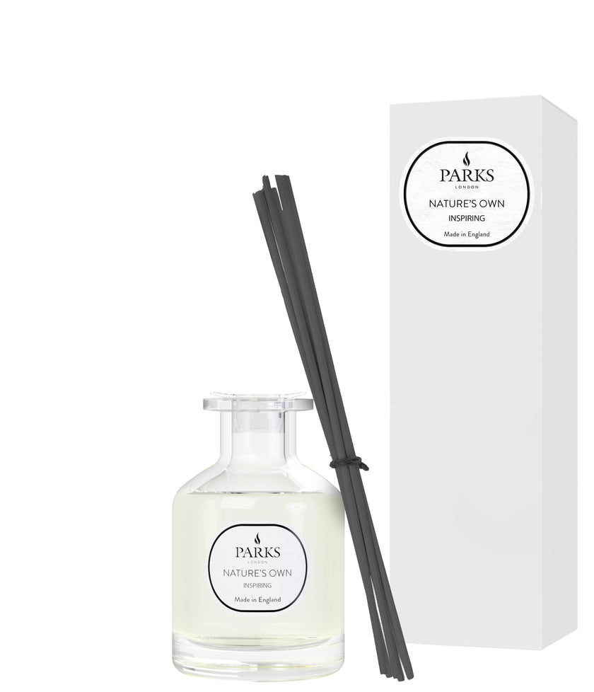 INSPIRIERENDER DIFFUSOR 100ML