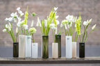 CYLINDER S Vase - BEIGE by DutZ