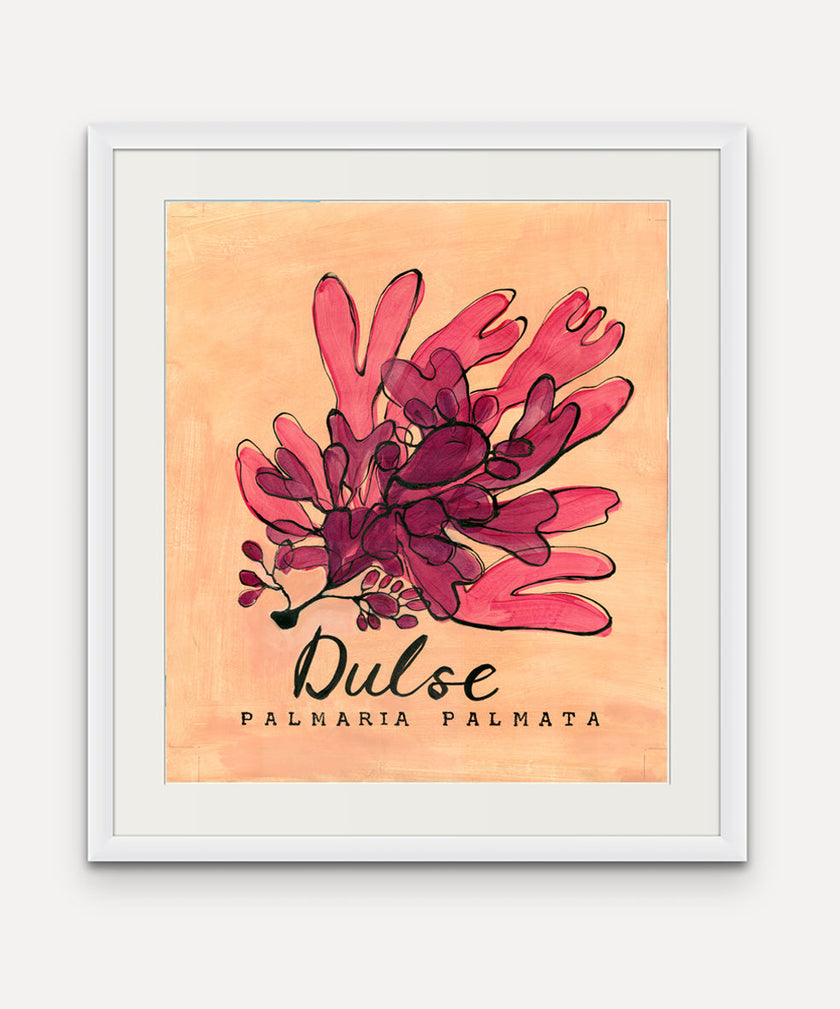 Dulse Seaweed  - Cornish Sea Life Series - Giclée Print