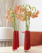VASE SOLIFLEUR Budvase - RED