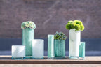 CYLINDER Vase - GREEN WHITE Colour by DutZ