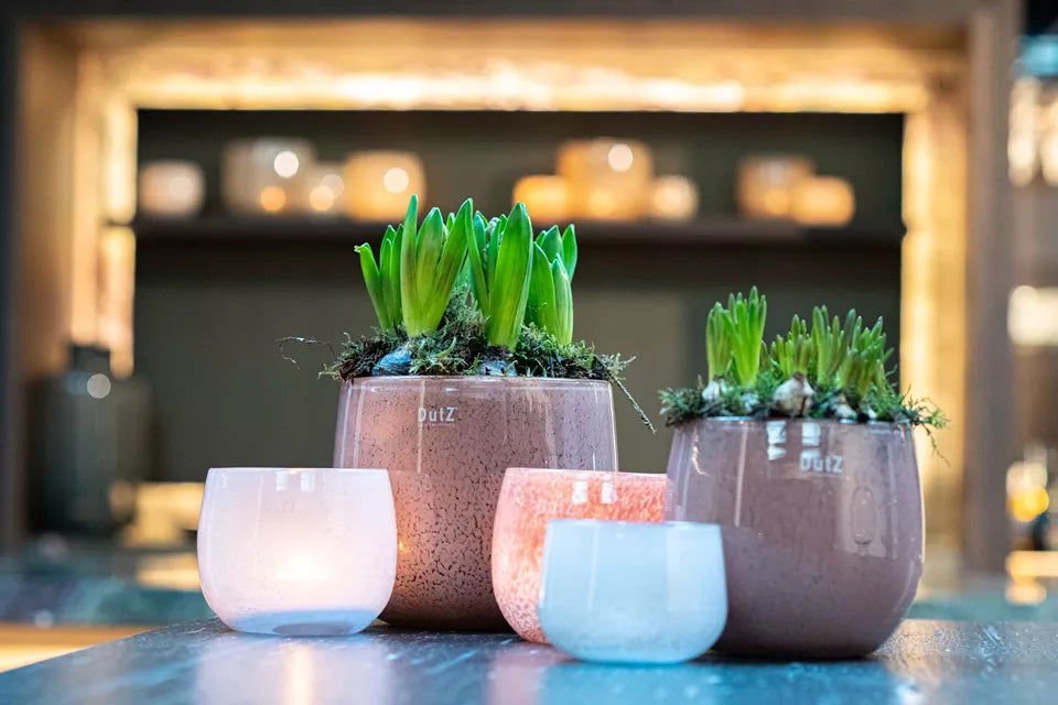 GLASS POT - BEIGE Colour by DutZ