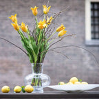 Vase MODEST - CLEAR BUBBLES Colour by DutZ