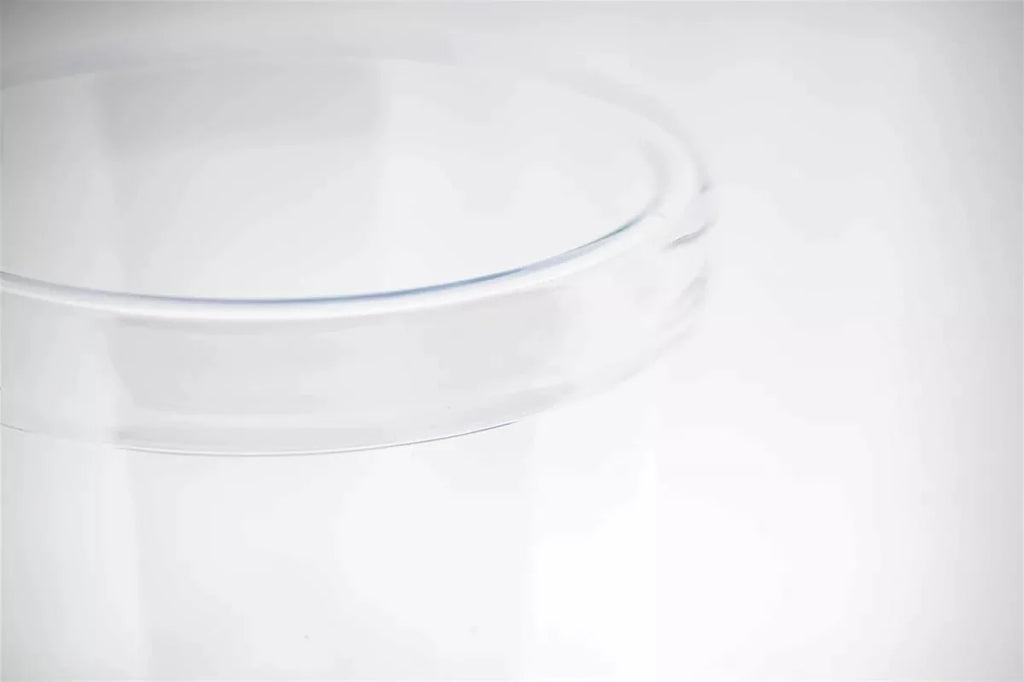 AMAZON HURRICANE Vase - CLEAR by DutZ