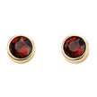 Beginnings Crystal Birthstone Earrings