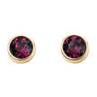 Beginnings Crystal Birthstone Earrings
