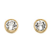 Beginnings Crystal Birthstone Earrings