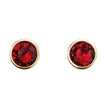 Beginnings Crystal Birthstone Earrings