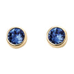 Beginnings Crystal Birthstone Earrings