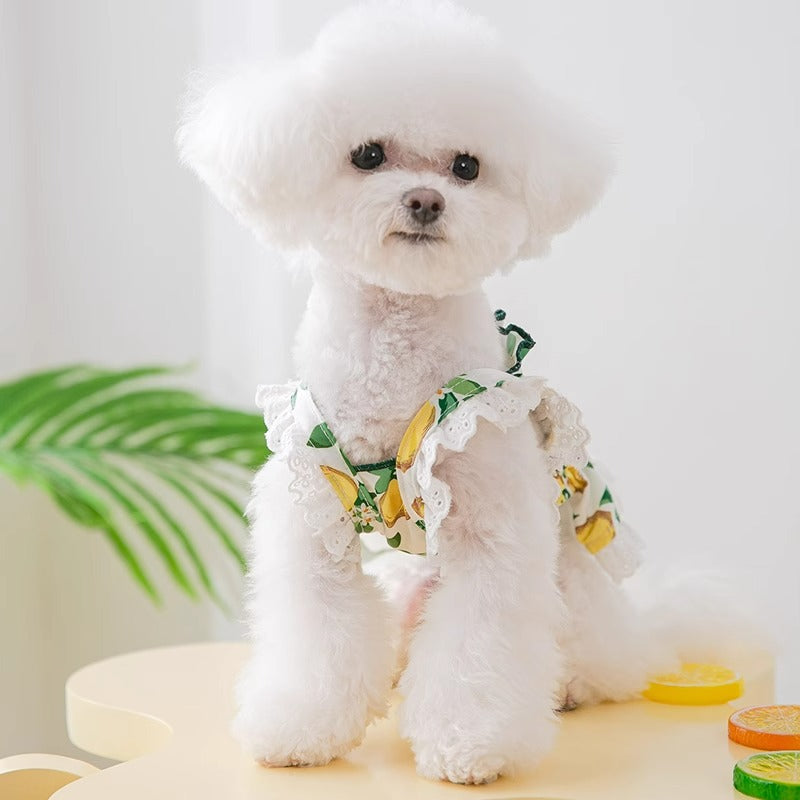 Ropa para Perro Fina Transpirable Falda con Tirantes