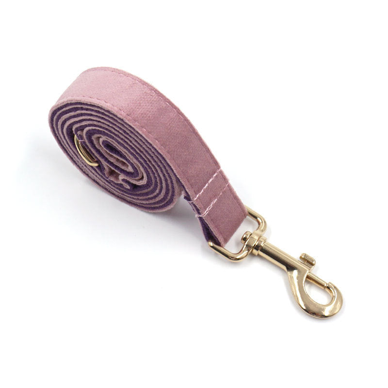 Hundehalsband- und Leinen-Set „Creamy Coffee Velvet“
