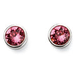 Beginnings Crystal Birthstone Earrings