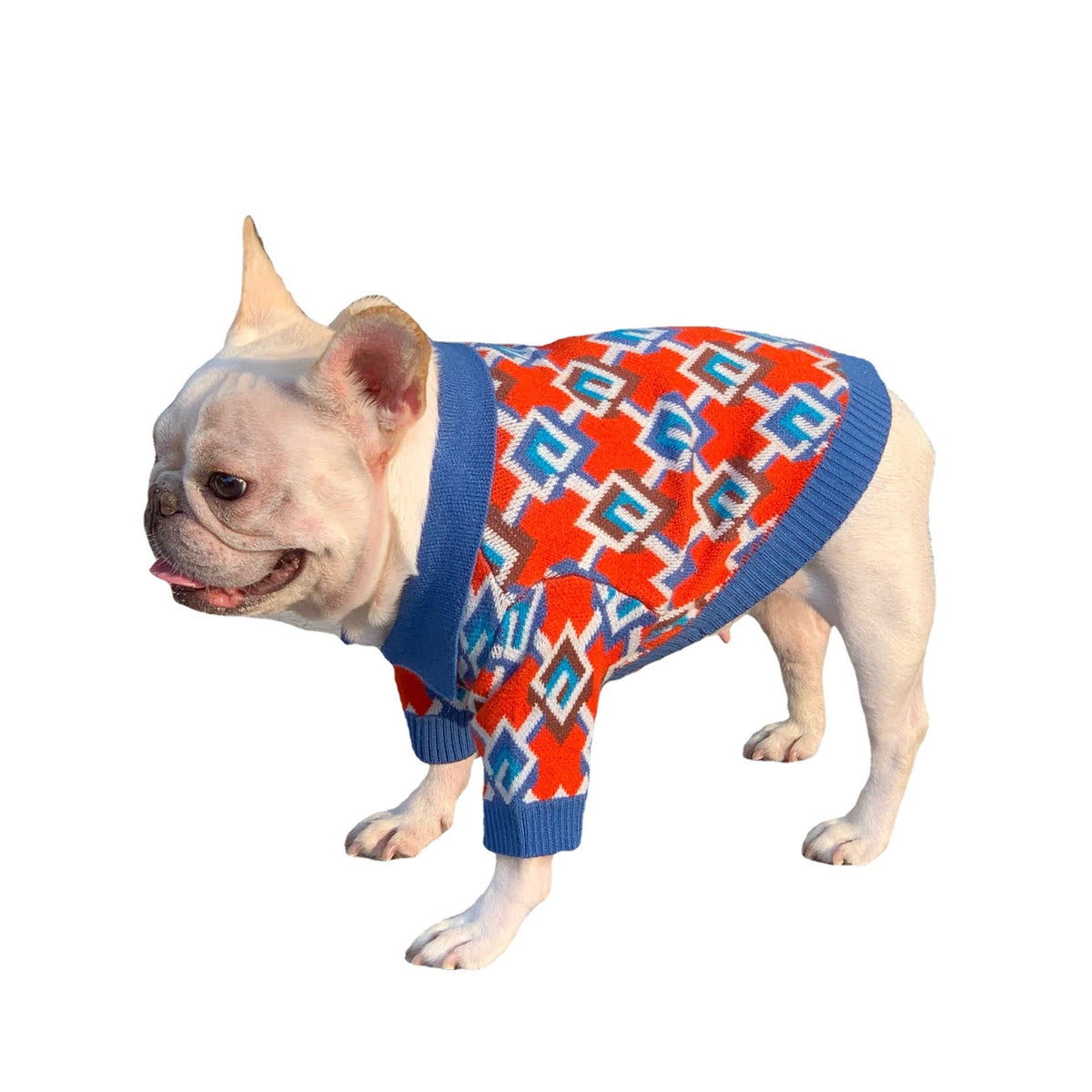 Pet Fashion Brand Clothes Dog Cat Fight