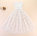 Gorgeous Embroidered Tail Pet Wedding Dress