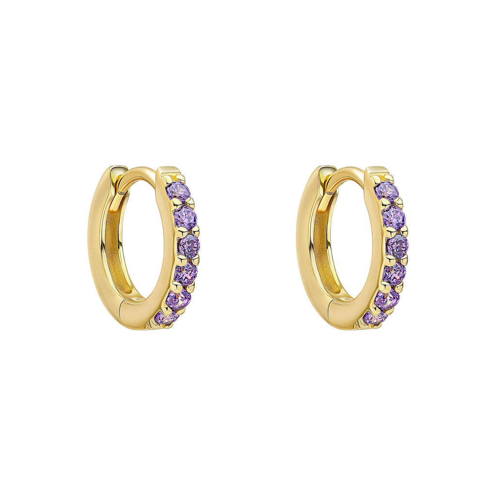 Beginnings Crystal Hoop Earrings