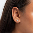 Beginnings Trilogy Stud Earrings