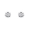 Laura Ashley Fashion Cosmos Flower Earrings
