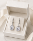Elva Drop Earrings