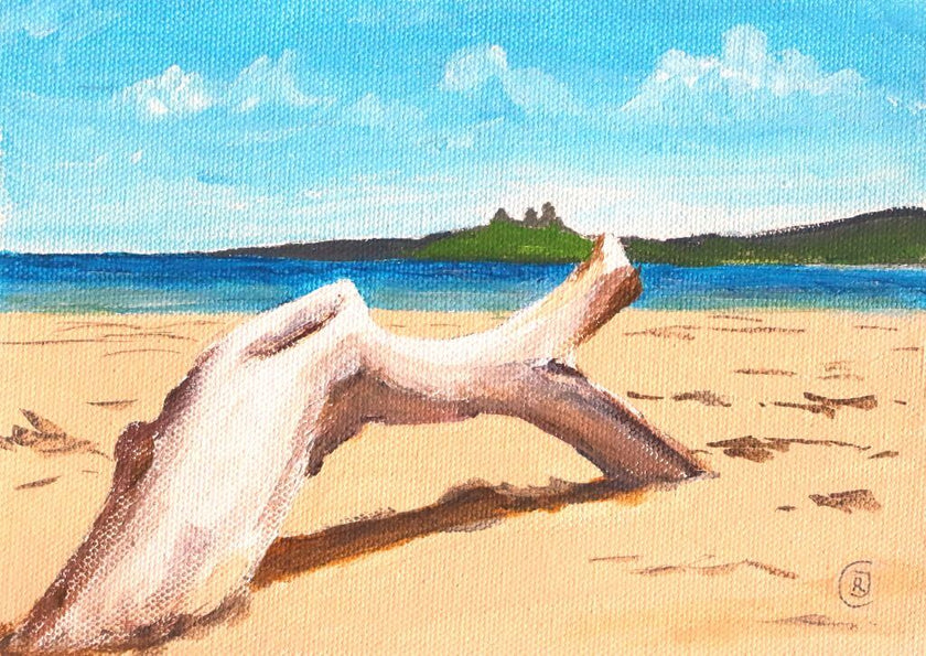 Embleton Beach 5 - Sea Driftwood