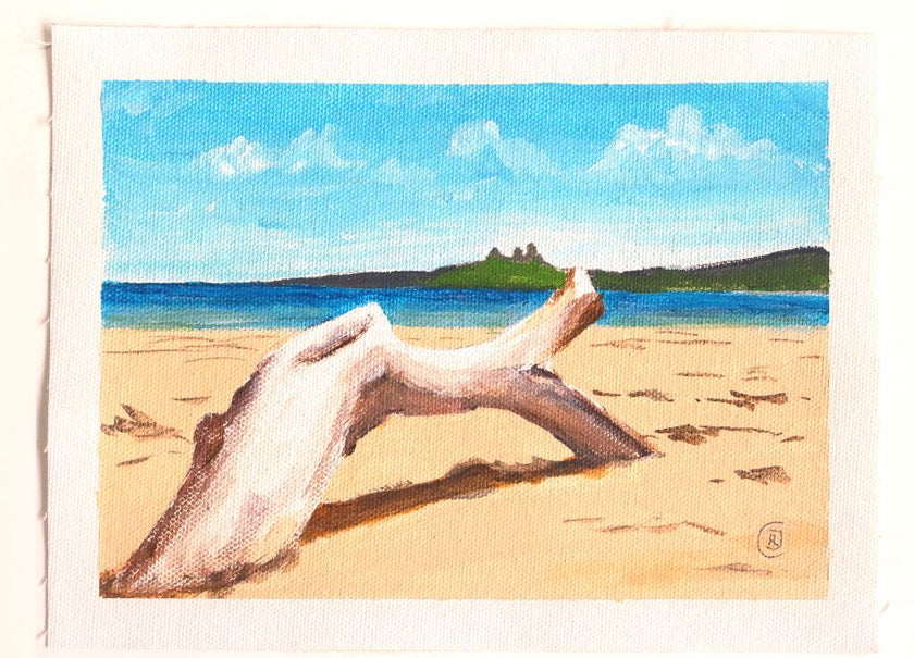 Embleton Beach 5 - Sea Driftwood