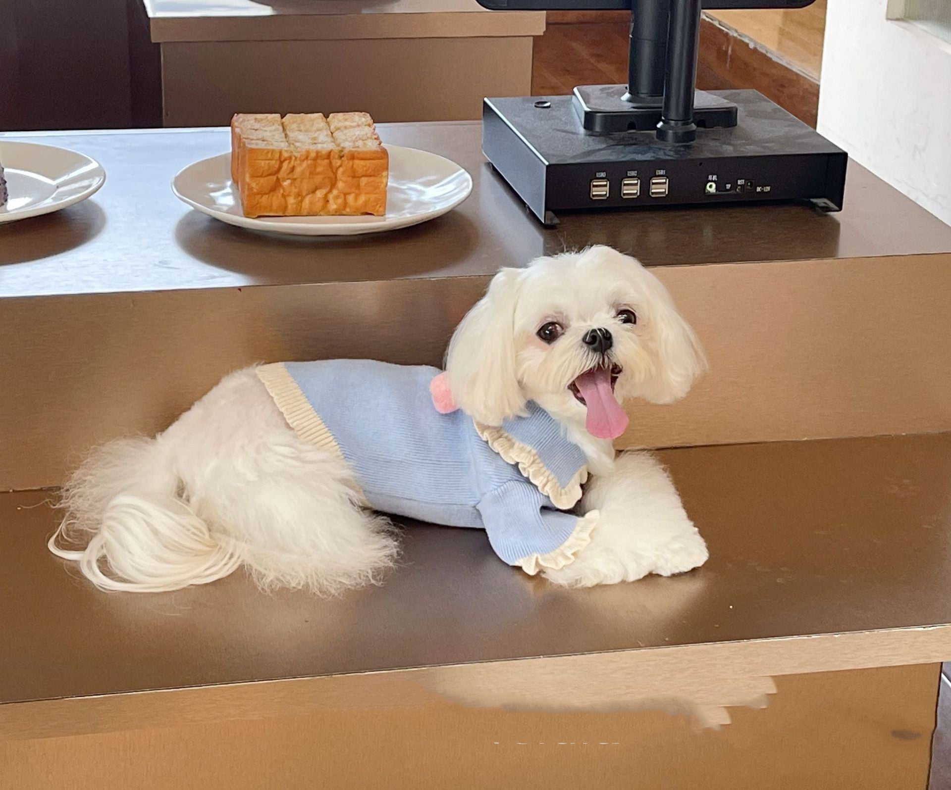 Handmade Strawberry Ball Wool Coat Dog To Keep Warm