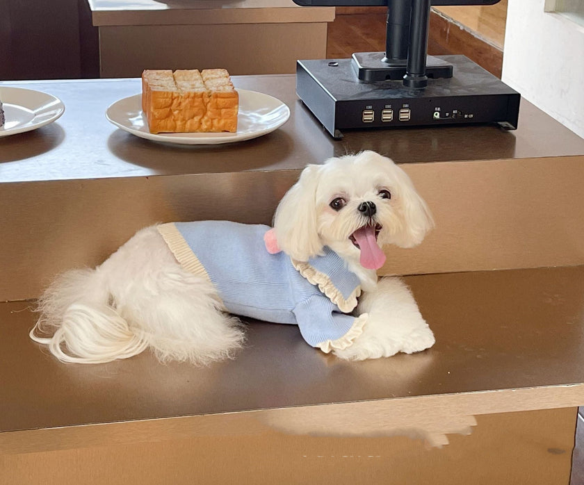 Handmade Strawberry Ball Wool Coat Dog To Keep Warm