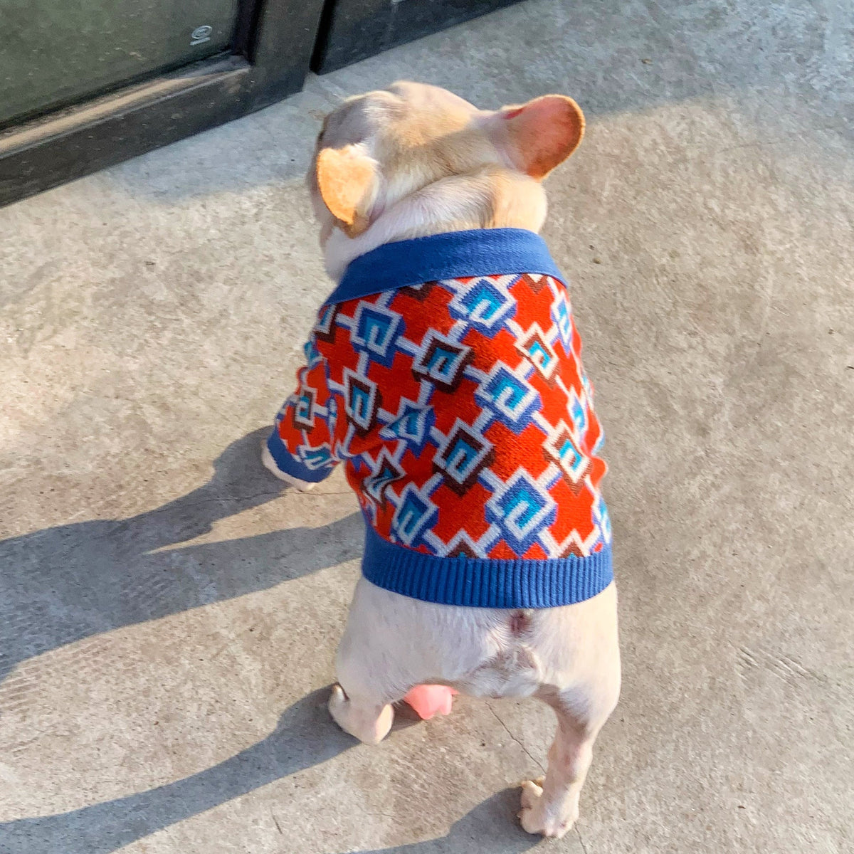 Pet Fashion Brand Clothes Dog Cat Fight