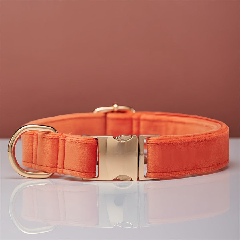 Multiple Colour Velvet Personalise Dog Collar Leash Set With Bow