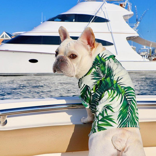 Hawaiian European And American Spring Style French Fighting Corgi Shiba Dog Shirt