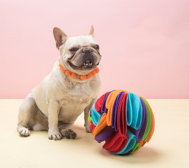 Der Hund riecht und lässt den Futterball fallen, faltbar