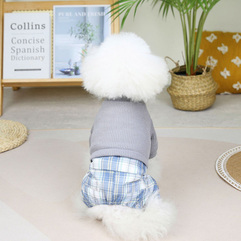 Wool Fabric Leisure Warm Sweatshirt Skirt Pants Suit Dog Clothes