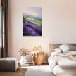 Lavender Fields Canvas