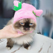 Pet Headgear Cute Dog Teddy Dress Up SUNFLOWER Cat Headdress Wig Cat Headgear Hat